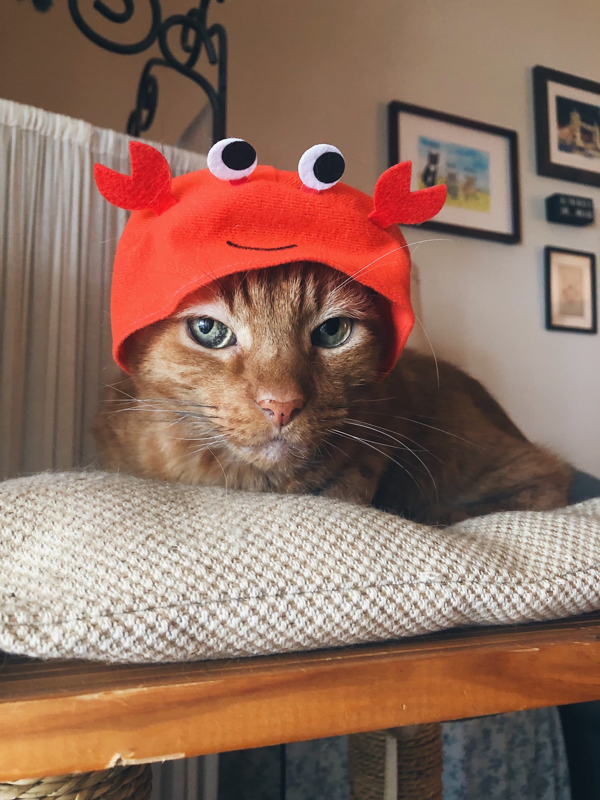 Larry Crab