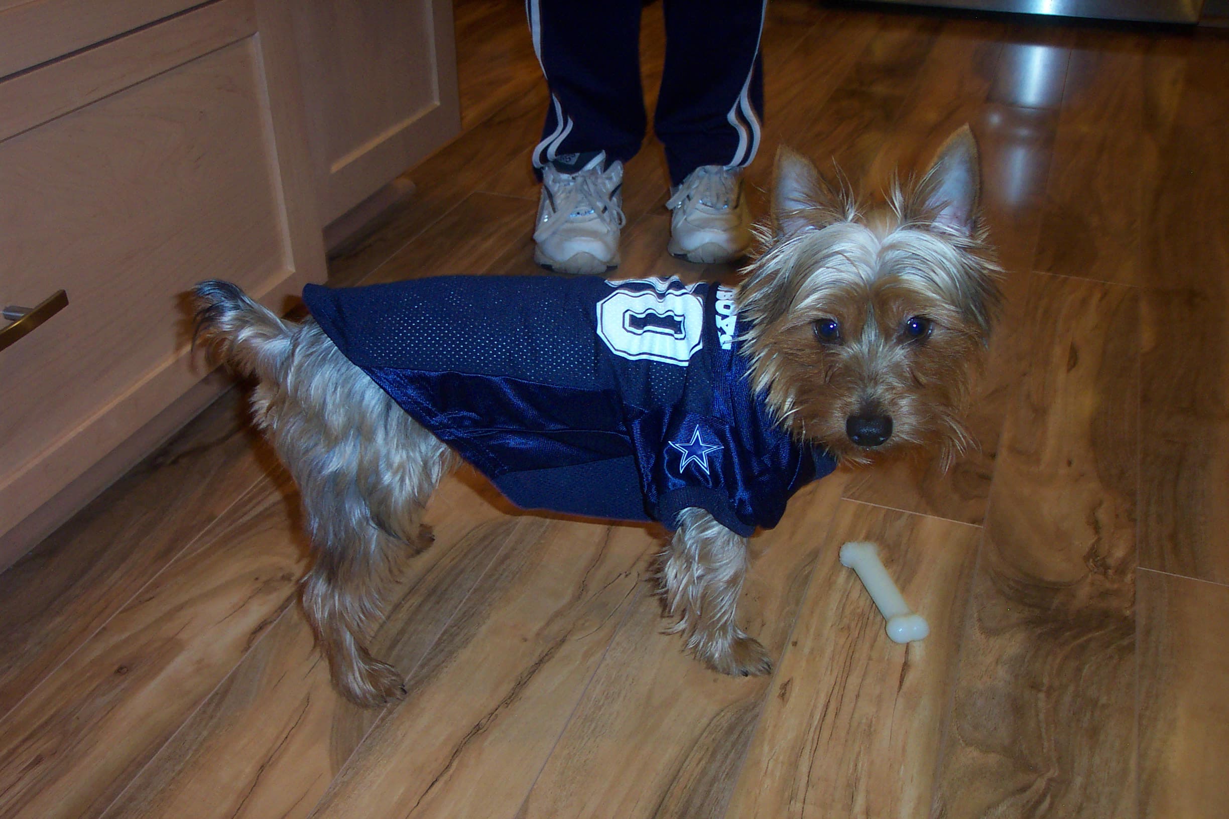 Trooper with Dallas Cowboys Jersey