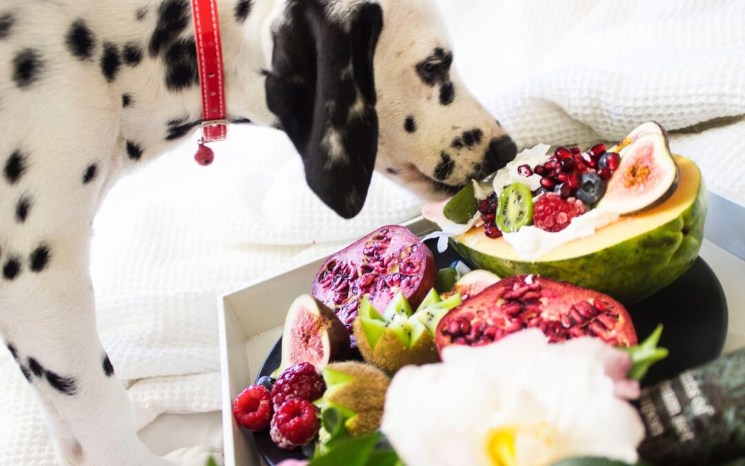 Dog Sniffing Fruit