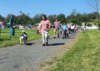 The Dog Walk