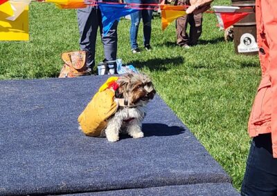 Costume Contest